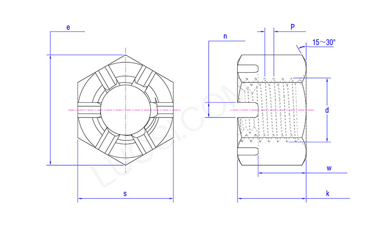 Hexagon Slotted Nut