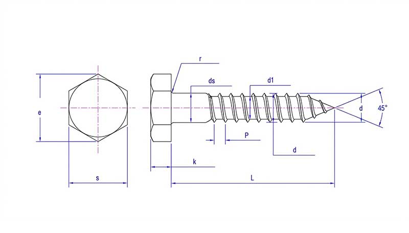 DIN 571 Hex hHad Lag Screws